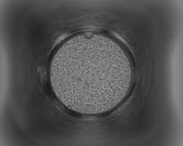 X0000082991259200703020837