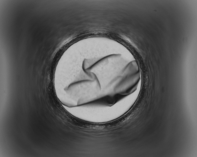 X0000082991261200703020837