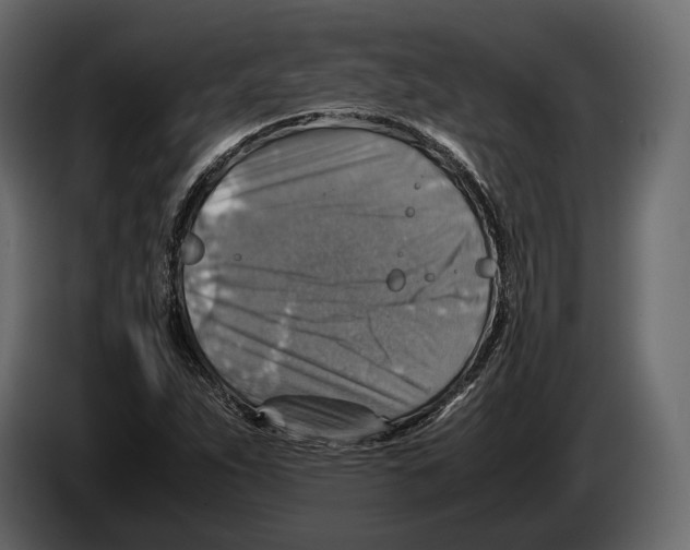 X0000082991263200703020837