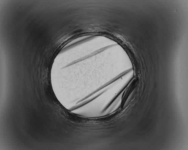 X0000082991265200703020837