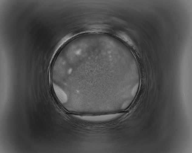 X0000082991275200703020837