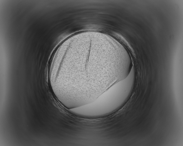 X0000082991276200703020837