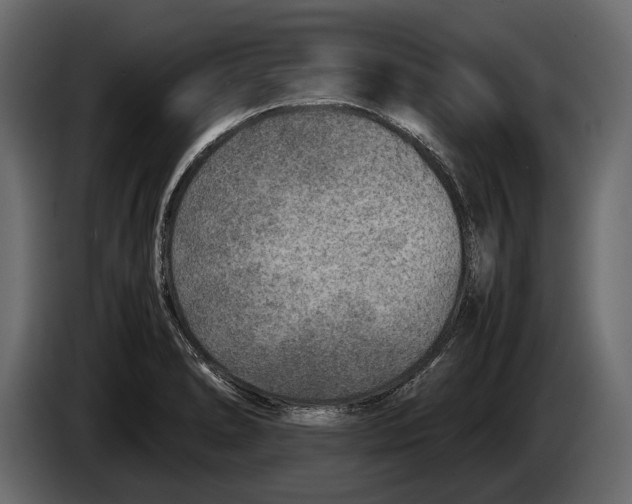 X0000082991278200703020837