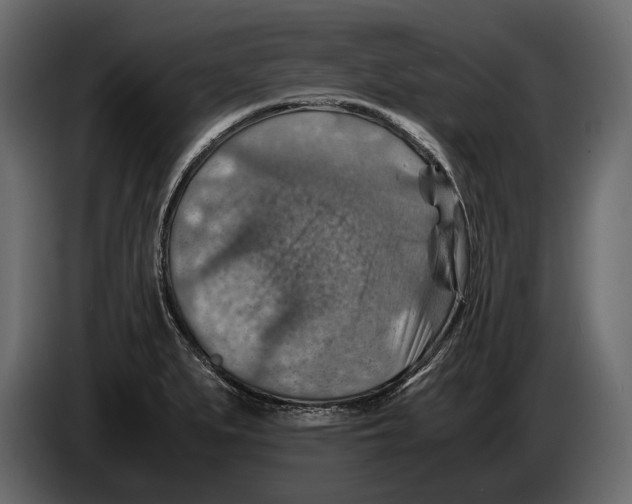 X0000082991279200703020837