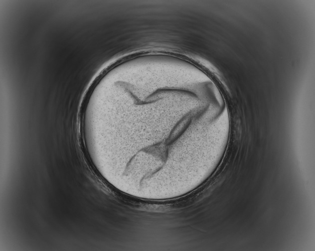 X0000082991280200703020837