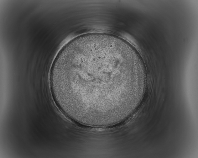 X0000082991283200703020837