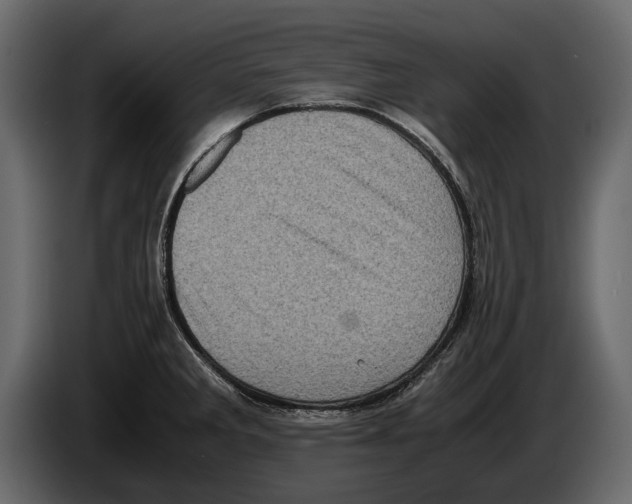 X0000082991285200703020837