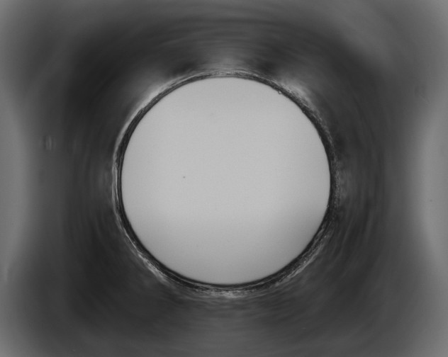 X0000082991286200703020837