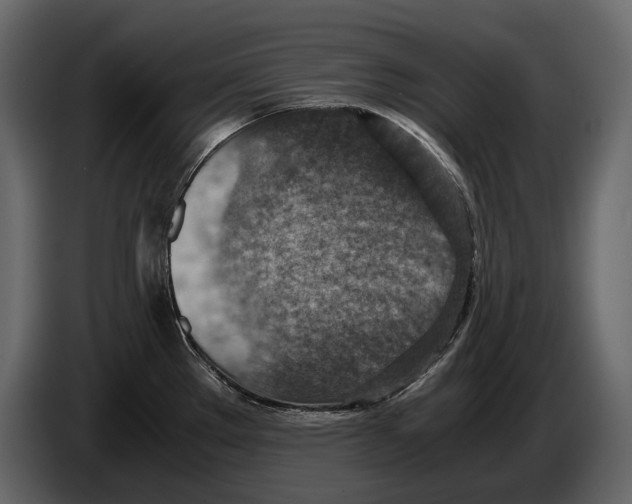 X0000082991289200703020837