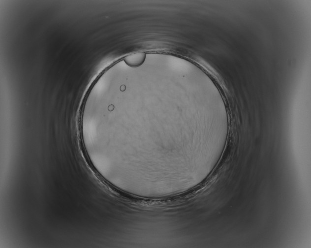 X0000082991291200703020837