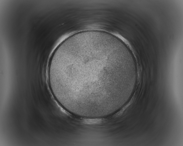 X0000082991294200703020837