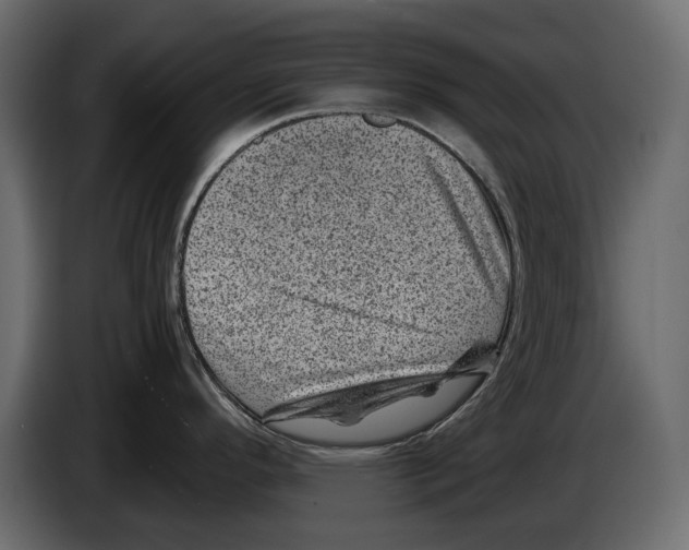 X0000082991296200703020837