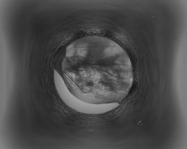 X0000082991297200703020836