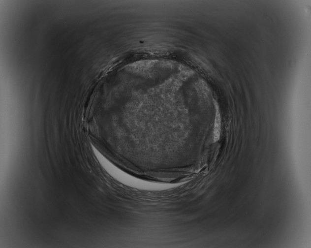 X0000082991298200703020836