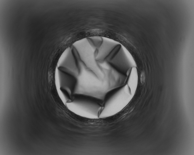 X0000082991299200703020836