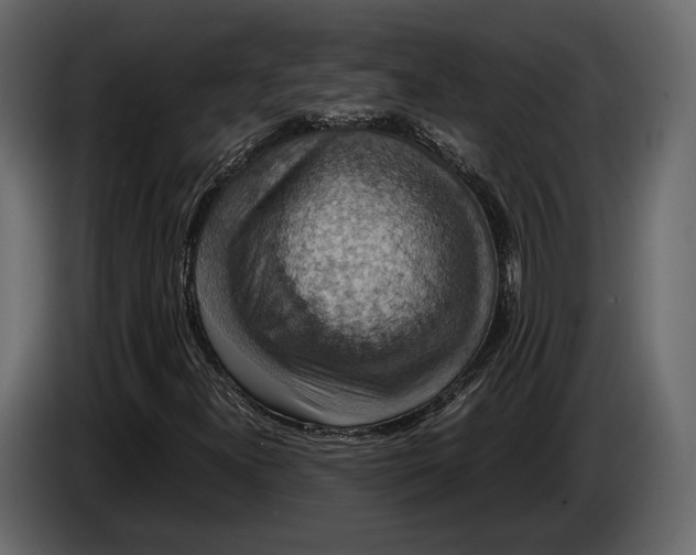 X0000082991300200703020836