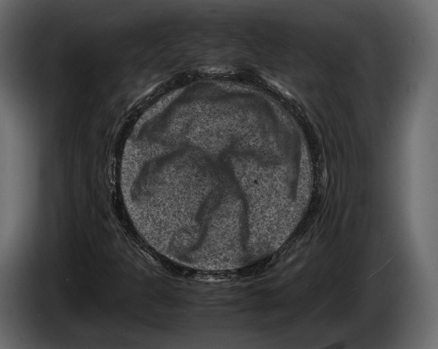 X0000082991301200703020836