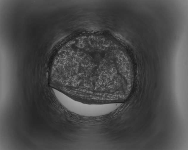 X0000082991302200703020836