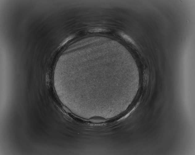 X0000082991305200703020836