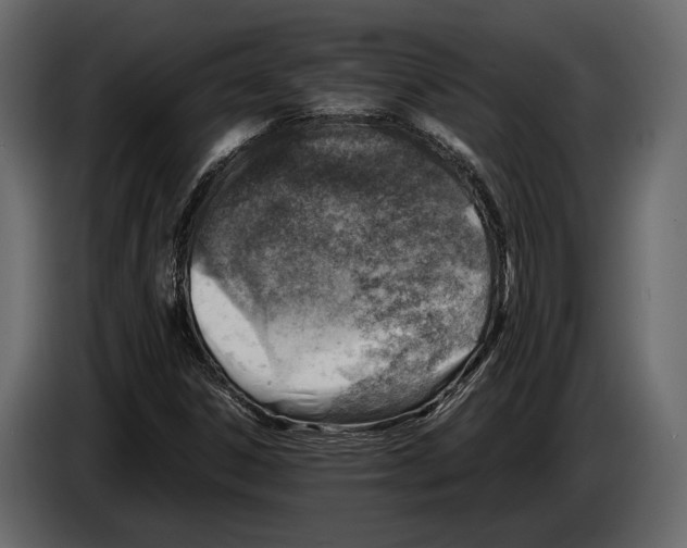 X0000082991306200703020836