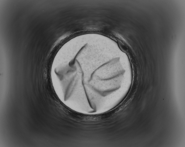 X0000082991307200703020836