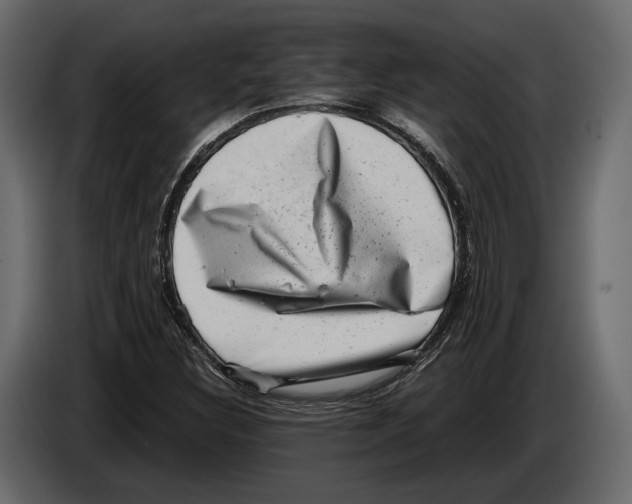 X0000082991308200703020836