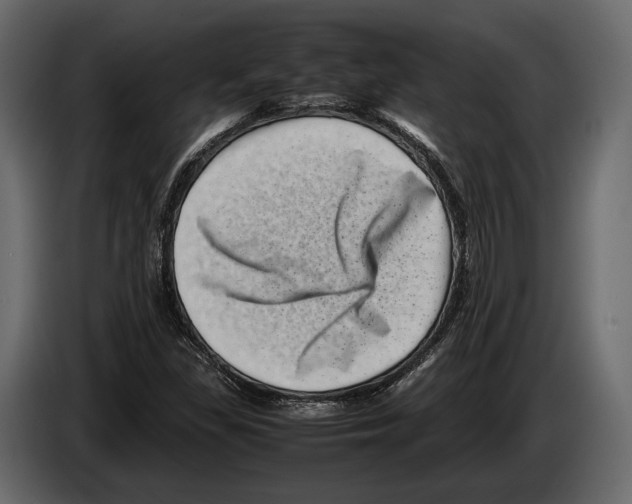 X0000082991309200703020836