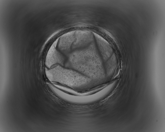 X0000082991310200703020836