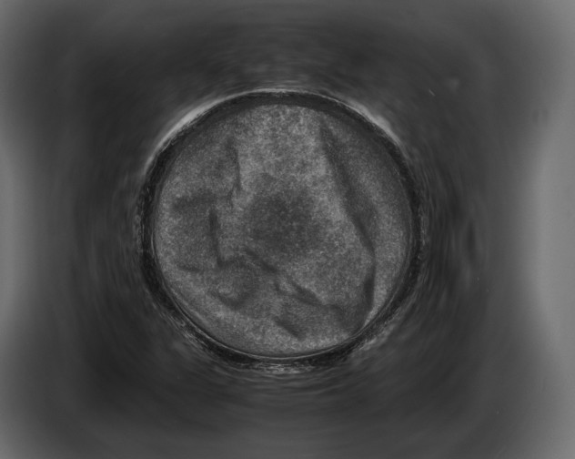 X0000082991311200703020836