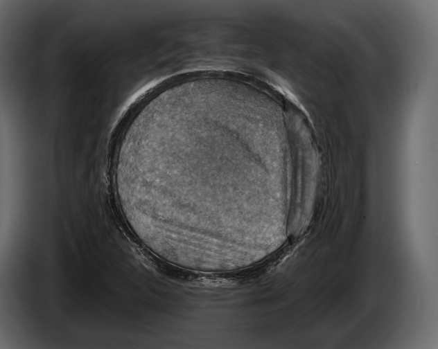 X0000082991312200703020836