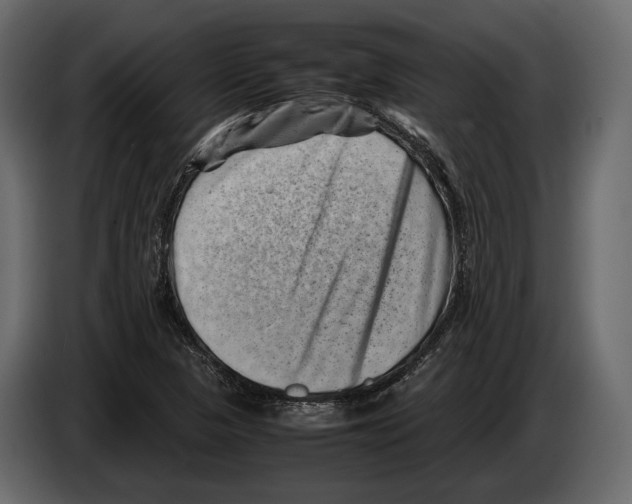 X0000082991313200703020836