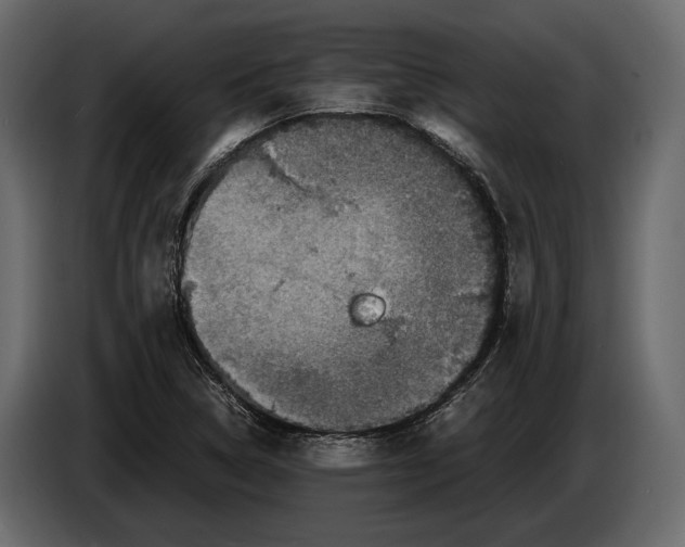 X0000082991314200703020836