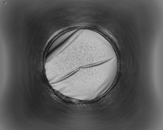 X0000082991316200703020836