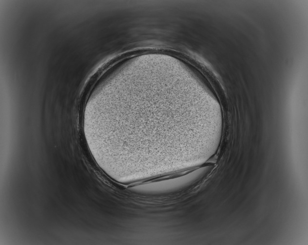 X0000082991318200703020836