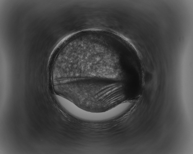 X0000082991319200703020836