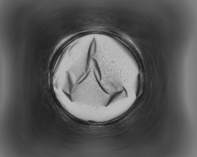 X0000082991320200703020836