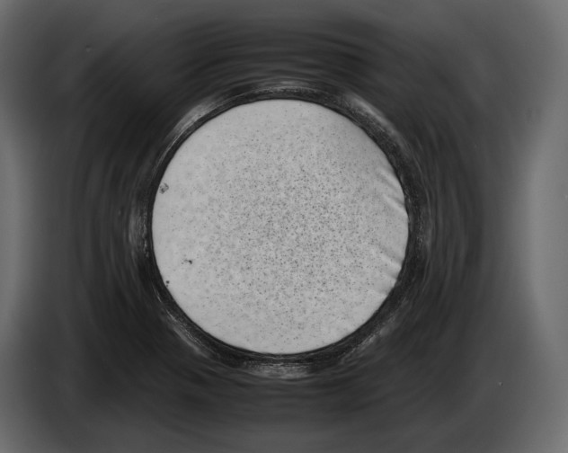 X0000082991321200703020836