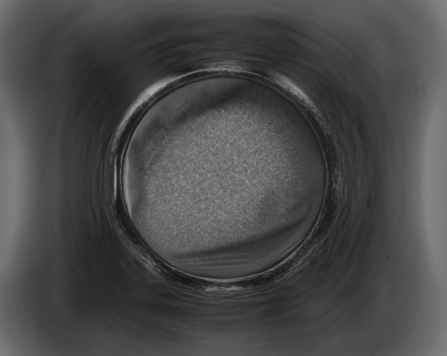 X0000082991323200703020836