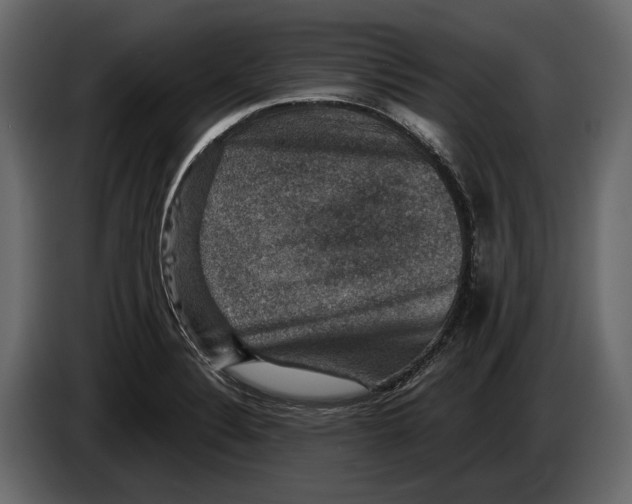 X0000082991324200703020836