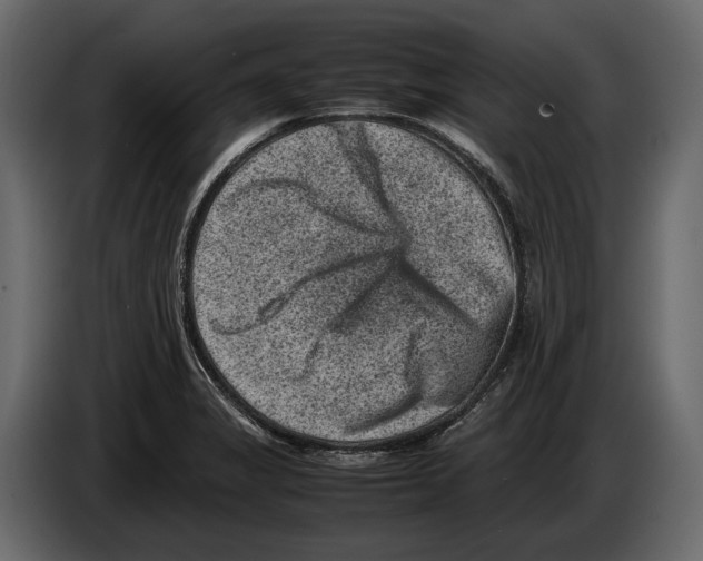 X0000082991325200703020836