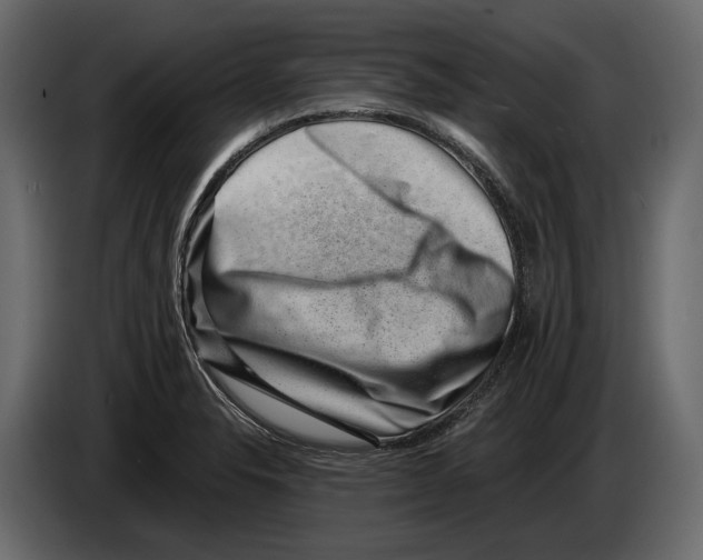 X0000082991326200703020836