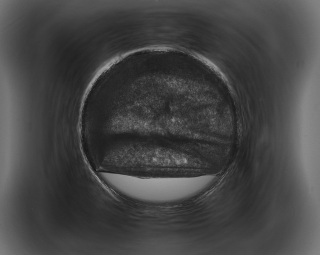 X0000082991327200703020836