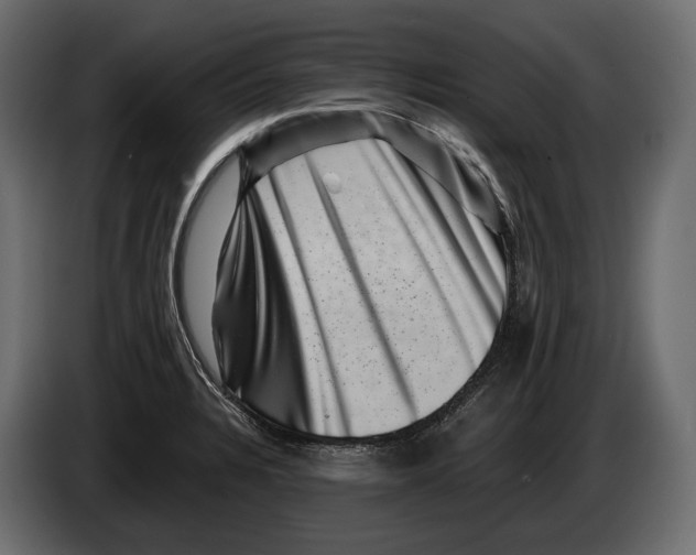 X0000082991328200703020836