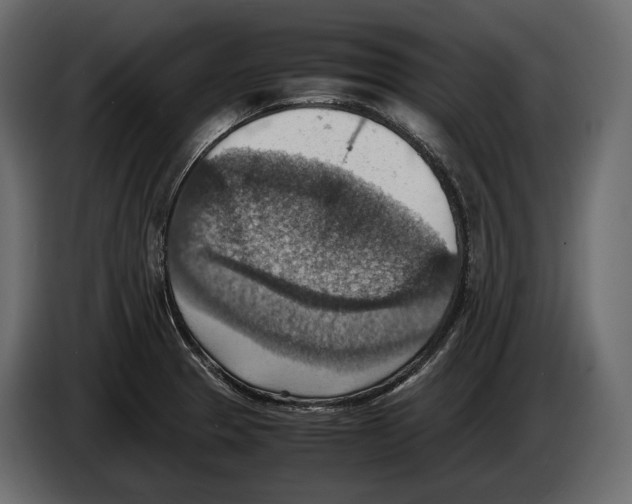 X0000082991329200703020836