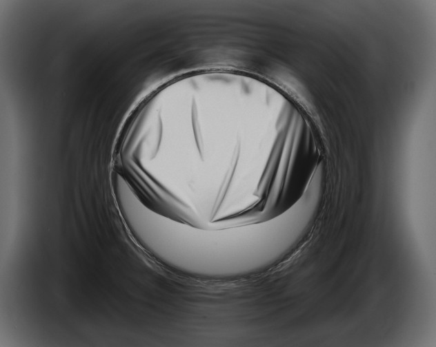 X0000082991332200703020836