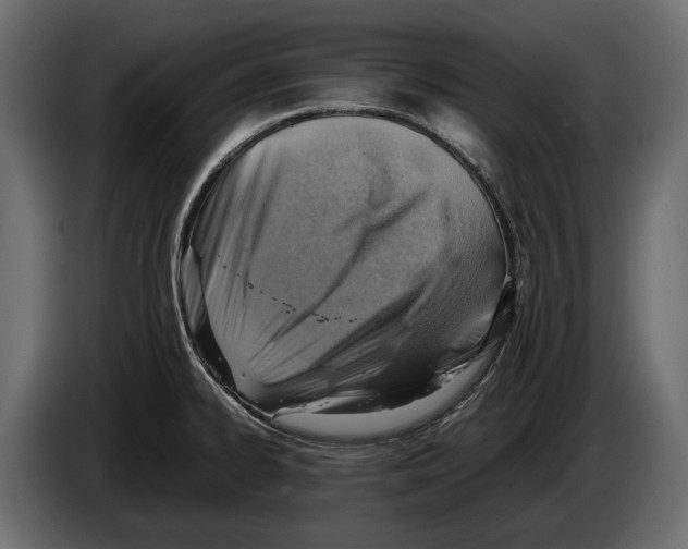 X0000082991334200703020836