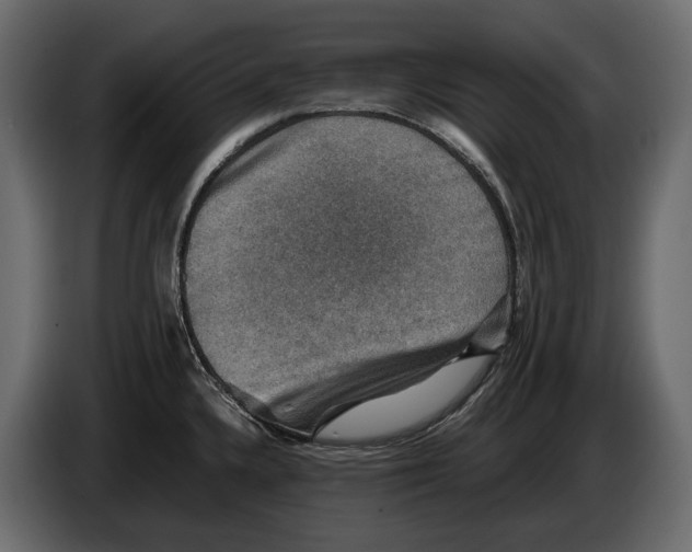 X0000082991336200703020836