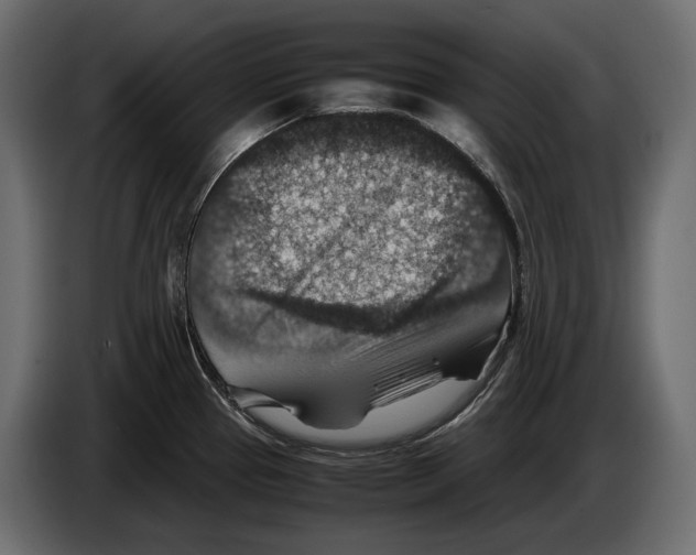 X0000082991337200703020836