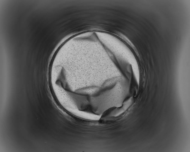 X0000082991339200703020836