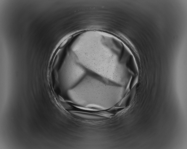 X0000082991340200703020836